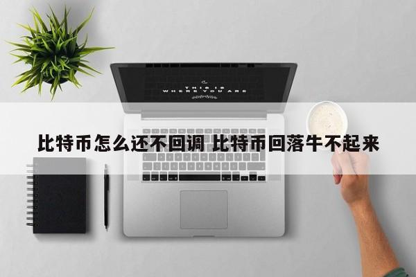 比特币怎么还不回调 比特币回落牛不起来