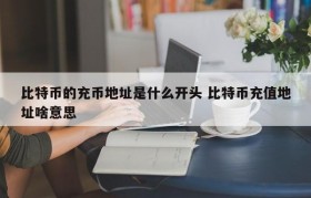 比特币的充币地址是什么开头 比特币充值地址啥意思