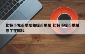 比特币充币地址和提币地址 比特币提币地址忘了在哪找
