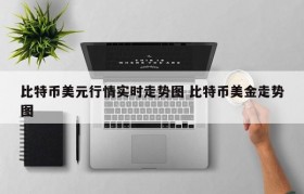 比特币美元行情实时走势图 比特币美金走势图